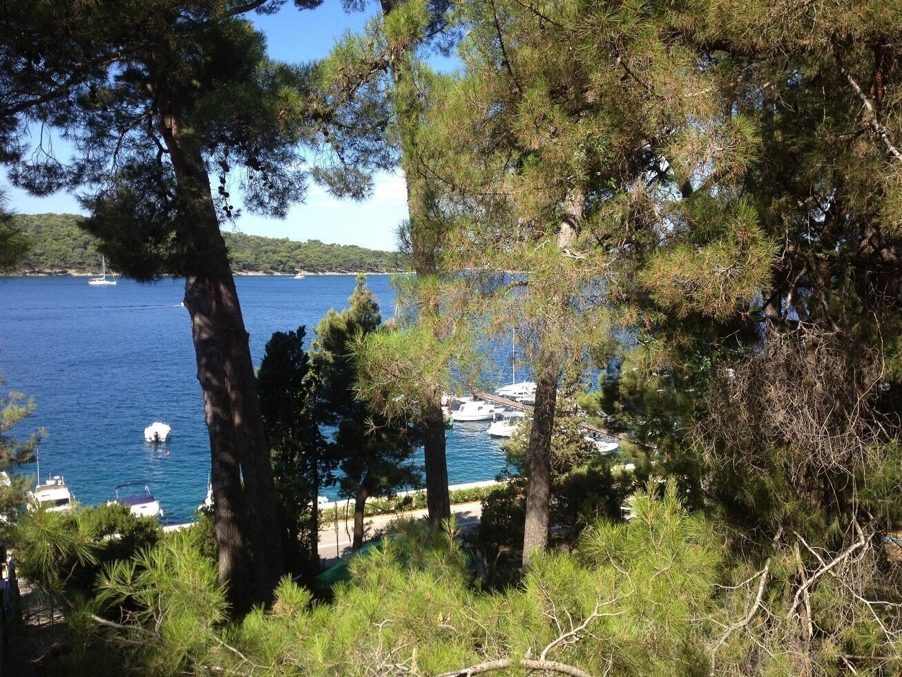 Une vue sur la côte, avec des bateaux, des arbres et un ciel dégagé.