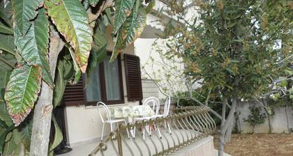 Apartments Ruzica