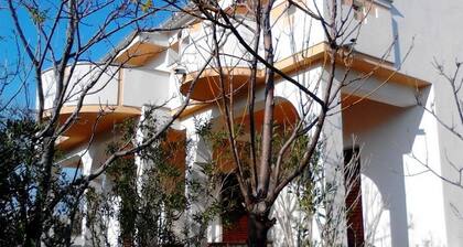 Apartments Ivan
