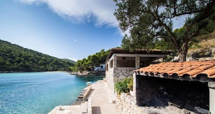 House Vinkli