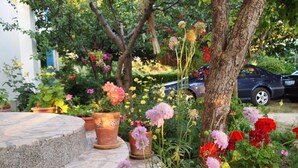 Een tuin met planten en bloemen in potten, een stenen trap en een boom.