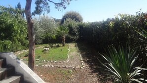 A garden with a variety of trees and shrubs, a concrete pathway, and a palm tree. - Apartment Andri (Zadar)