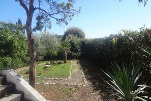 A garden with a variety of trees and shrubs, a concrete pathway, and a palm tree. - Apartment Andri (Zadar)