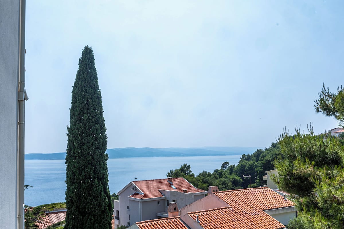 A coastal view with a tall cypress tree, terracotta-roofed buildings, and a clear view of the sea.