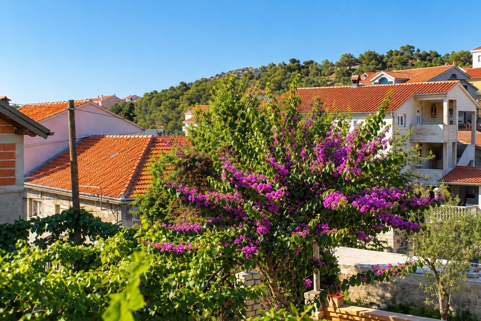 Ein Wohngebiet mit Häusern, die rote Ziegeldächer haben, und ein Baum mit violetten Blüten im Vordergrund.
