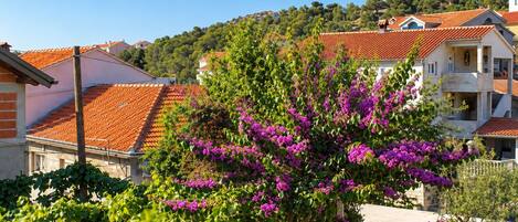 A residential area with houses featuring red-tiled roofs and a tree with purple flowers in the foreground.