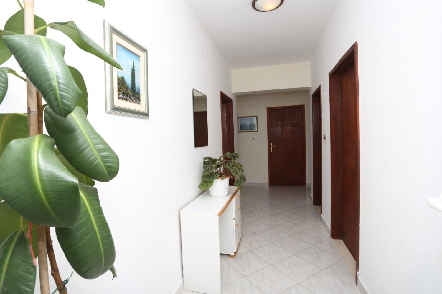 A hallway with a white wall, a wooden door, a white console table with a potted plant, and a framed picture.