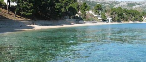 Ranta