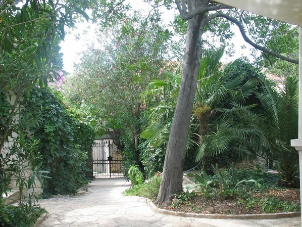 Courtyard - House Davor (Sutivan)