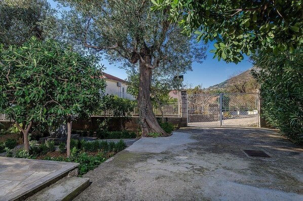 A courtyard with a large tree, a metal gate, and a paved area. - House Marko (Orebic)