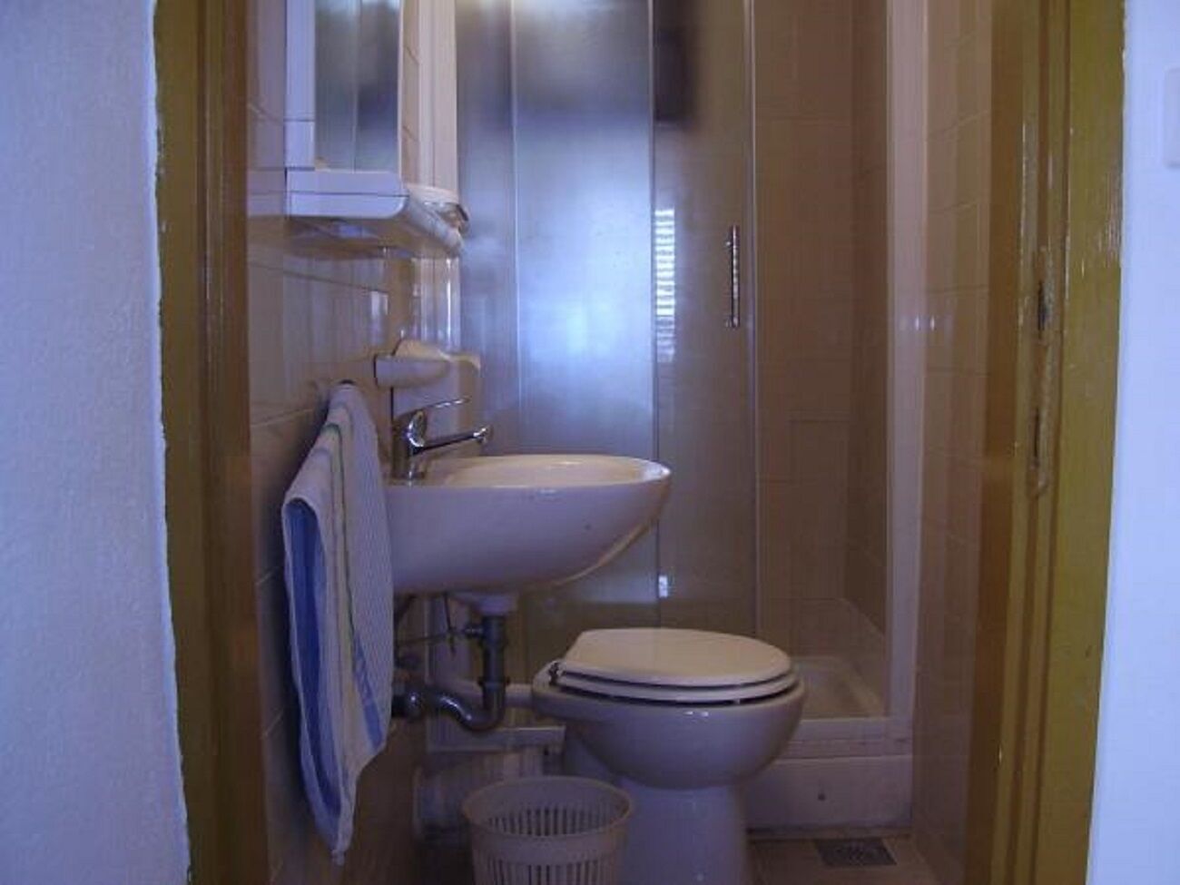 Une petite salle de bain avec des toilettes, un lavabo et une douche.