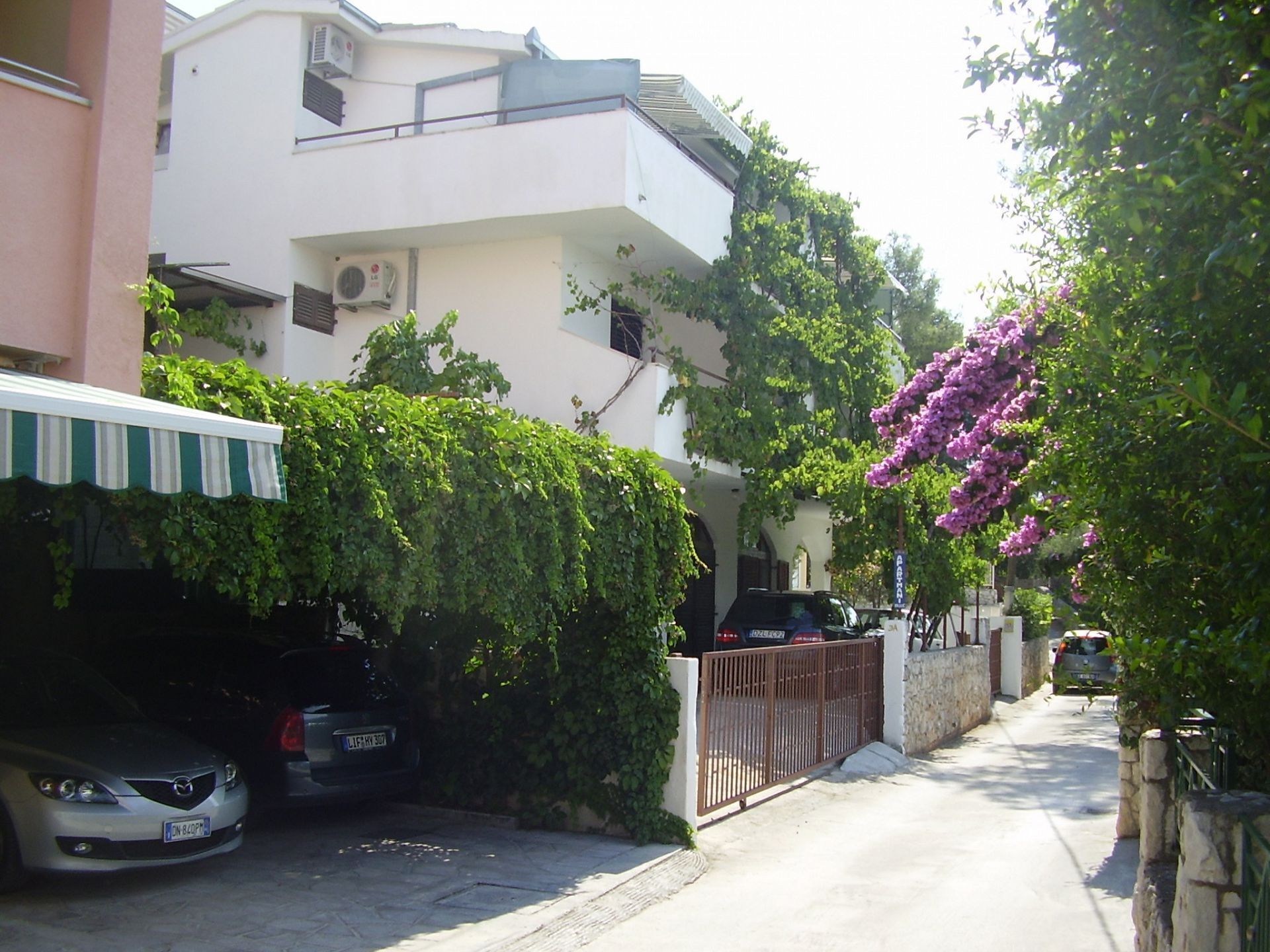 A narrow street with parked cars, a white building with balconies, and a tree with purple flowers.