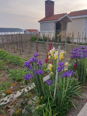 Garden - Apartments Adriatic (Razanac)