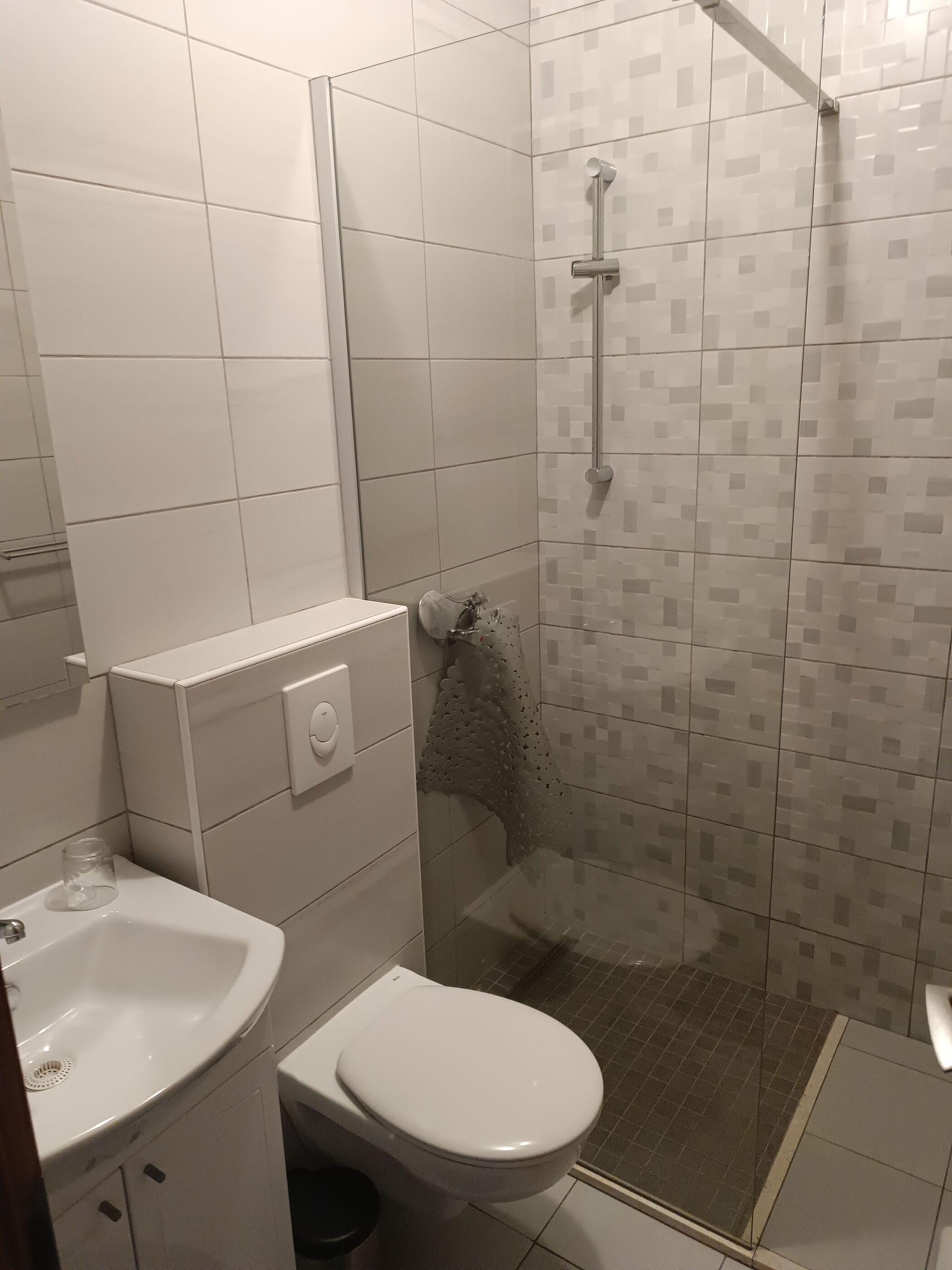 A bathroom with a toilet, sink, and shower.