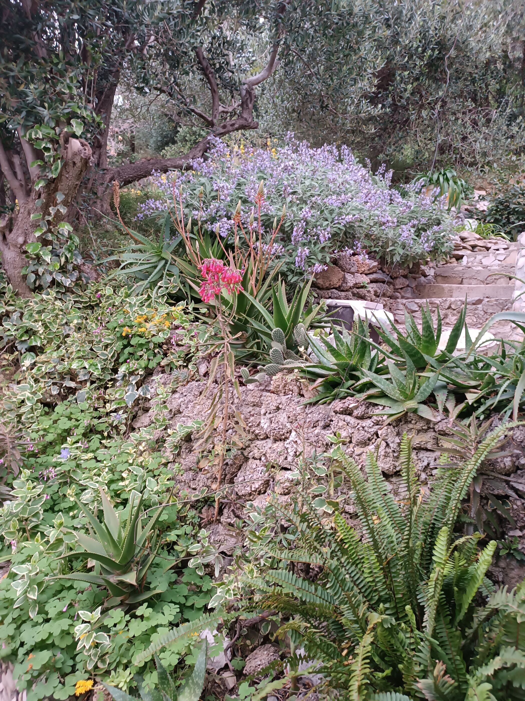 Estúdio (A2) | Detalhe da parte interna