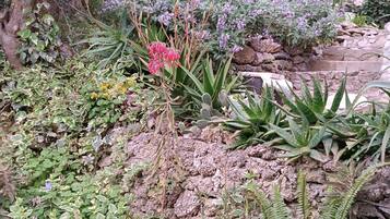 Estúdio (A2) | Detalhe da parte interna