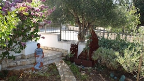 Un giardino con un vialetto in pietra, un albero e una recinzione.