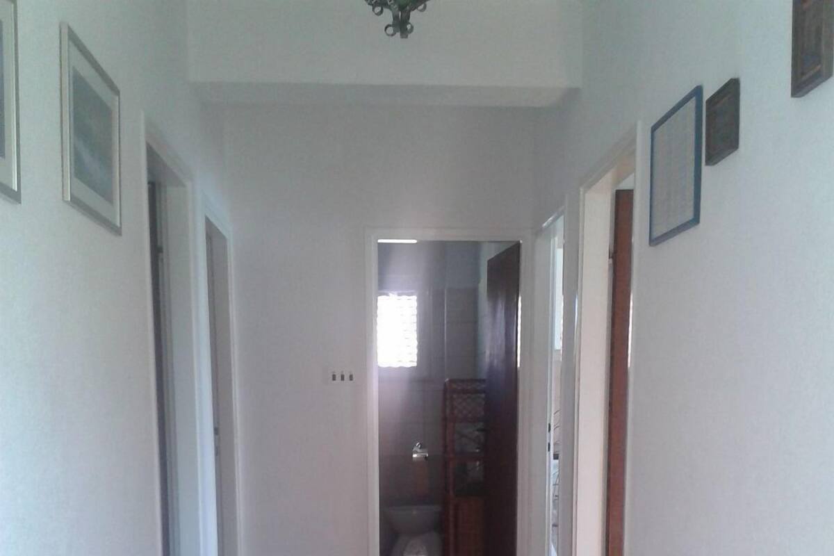 A hallway with a potted plant, tiled floor, and doors leading to other rooms.