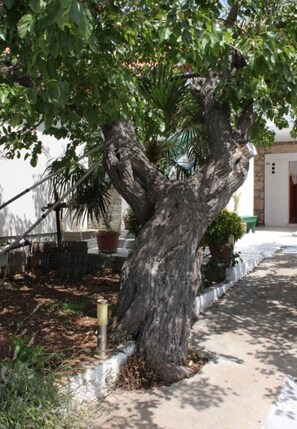Innenhof