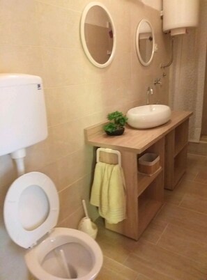 A bathroom with a toilet, a sink, a mirror, and a small plant. - Apartments Tonci (Kali)