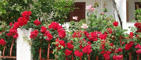 A building with a white exterior and a red metal fence.