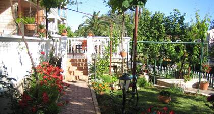 Apartments Renato