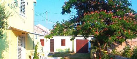 สนามรอบบริเวณ