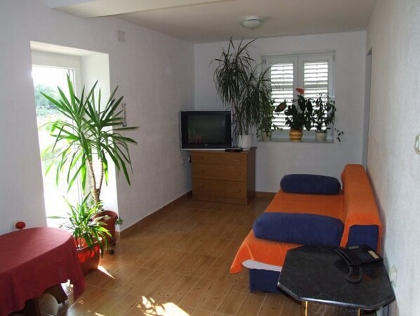 A small, bright room with a wooden floor, a sofa, a TV, and several potted plants. - Apartments Mir (Nin)