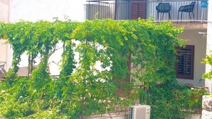 A building with a balcony, air conditioning unit, and greenery. - Apartment Anytime (Makarska)