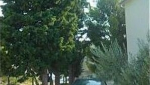 A car parked on a paved driveway with trees on both sides. - Apartments Dia (Primosten)
