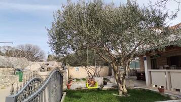 A courtyard with a tree, a stone wall, and a metal gate.