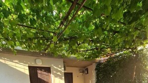 Eine überdachte Terrasse mit Tisch und Stühlen, umgeben von üppiger Bepflanzung und Hortensienblüten.