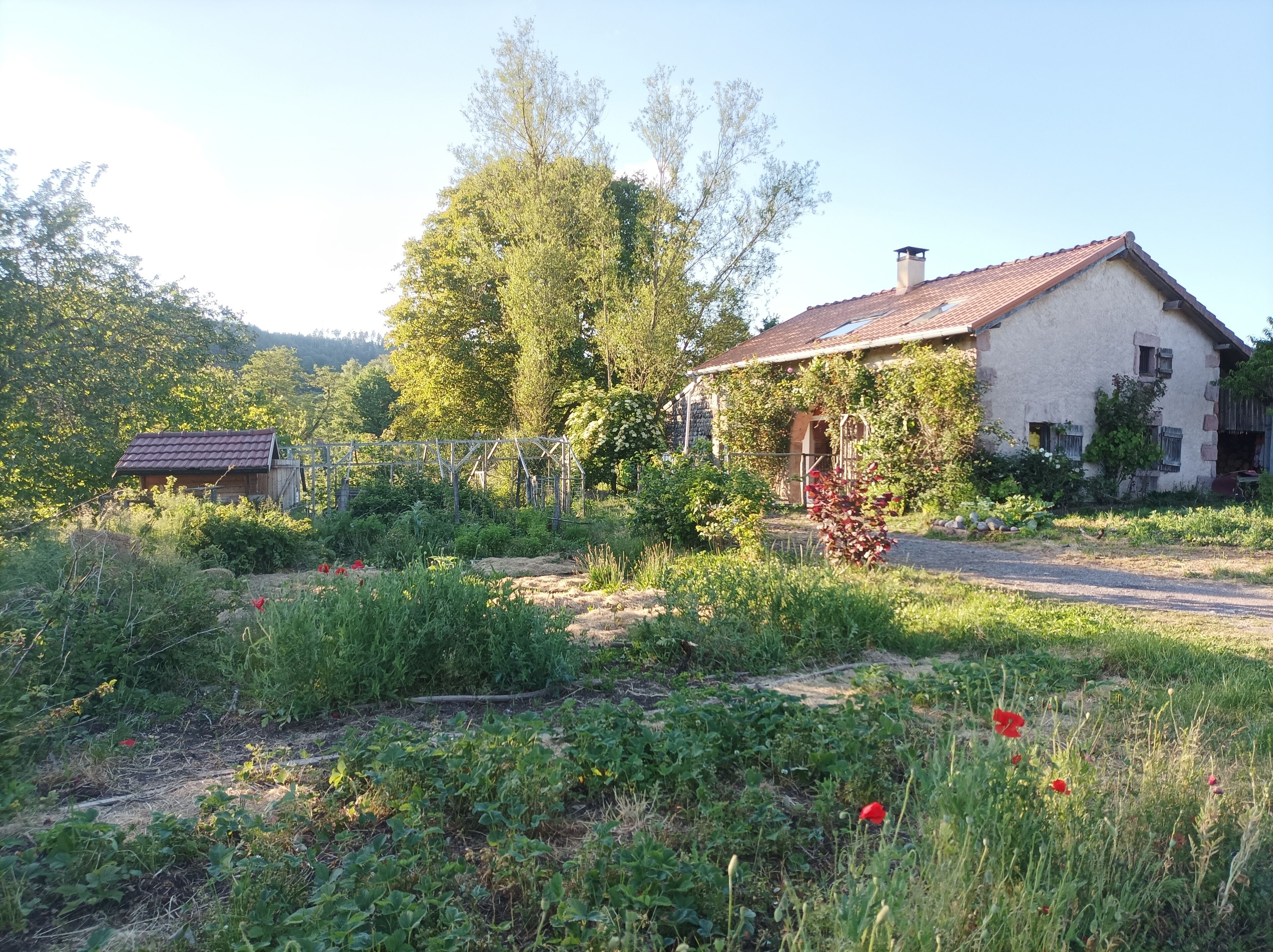 Jardines del alojamiento