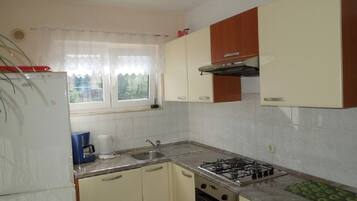 Apartment (A1) | Private kitchen
