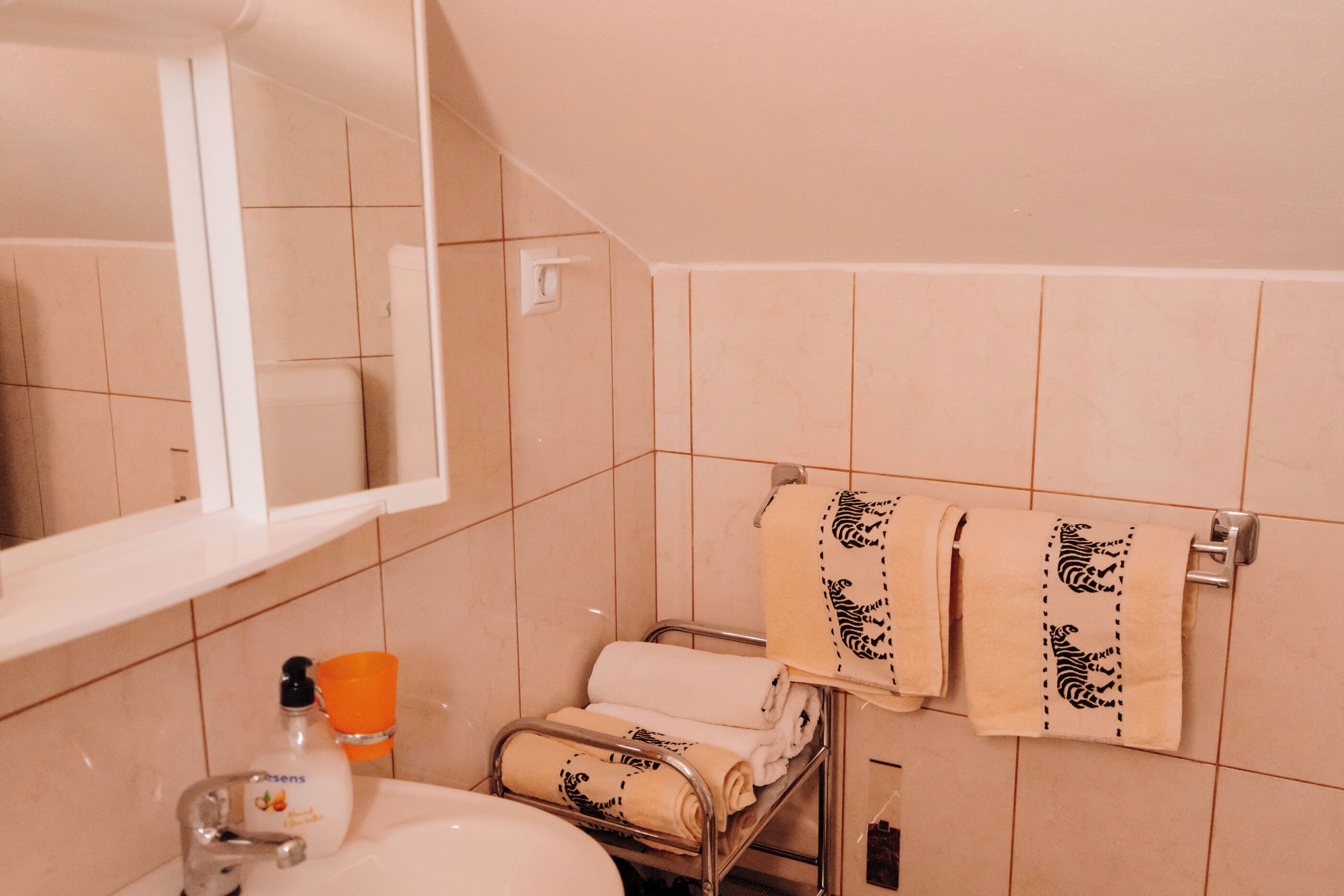 Een badkamer met een wastafel, spiegel, handdoekhouder en toiletartikelen.