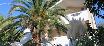 Apartments Ante