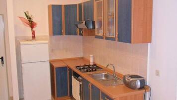 Apartment (A1) | Private kitchen