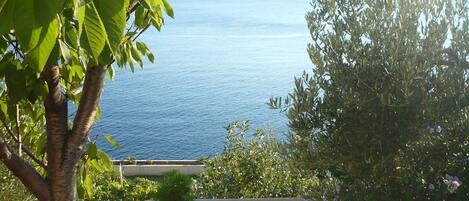 開放式客房 (A2) | 水景