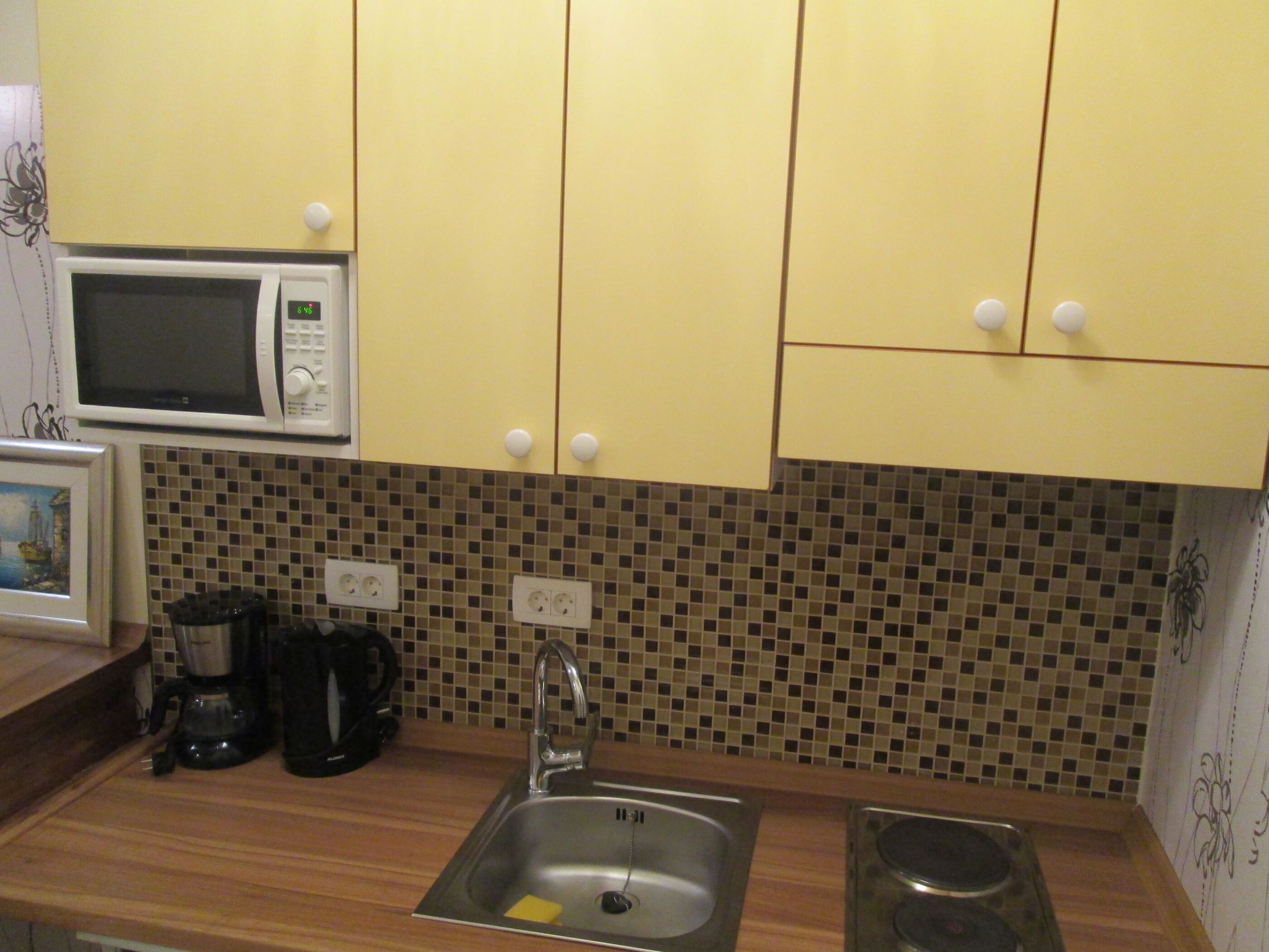 Apartment (A1) | Private kitchen | Fridge, microwave, oven, stovetop