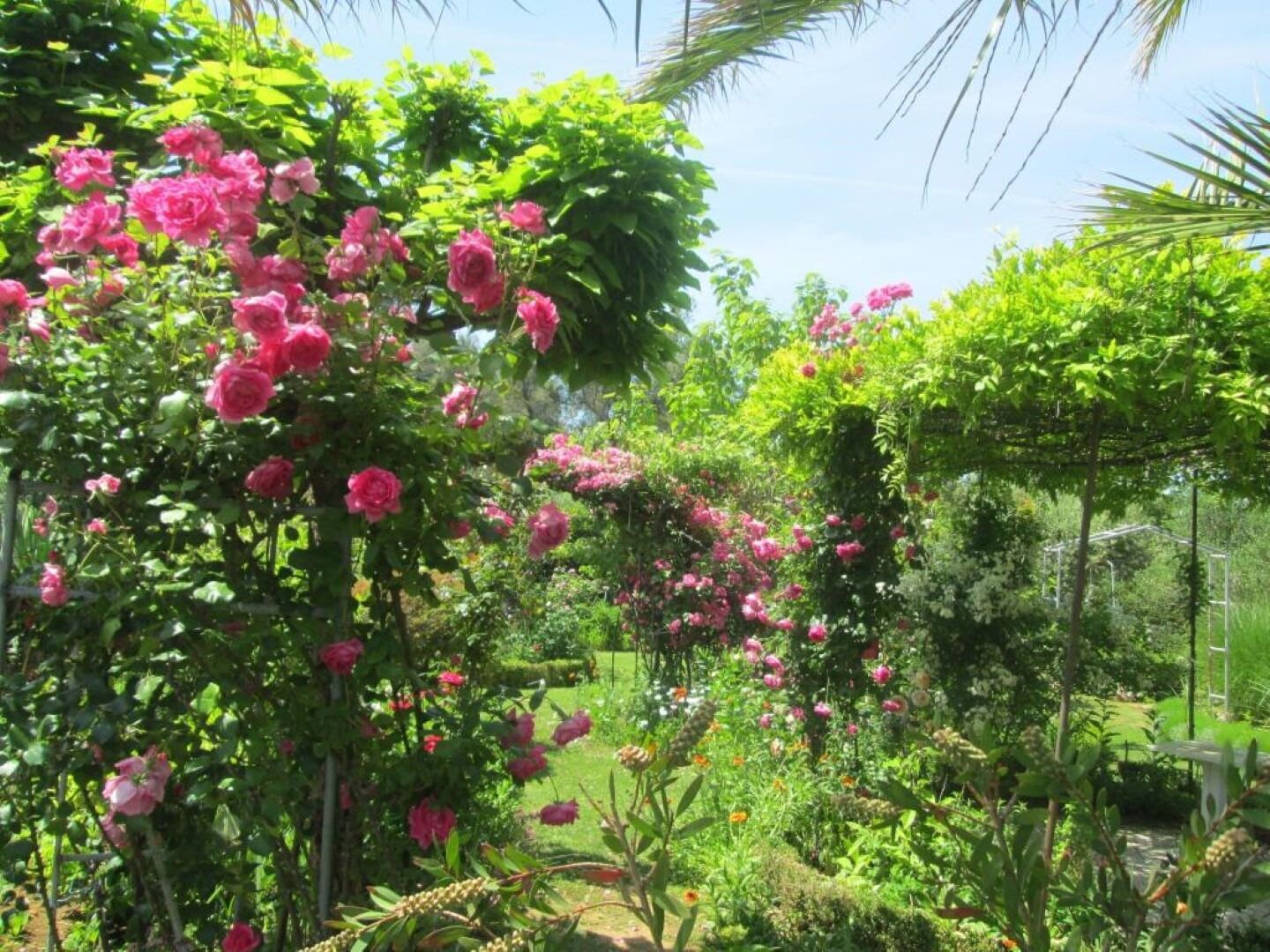 Appartamento (A3) | Giardino