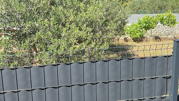 Vista de una zona costera con una valla metálica, vegetación y cielo despejado.