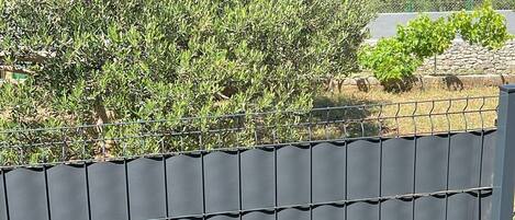 Apartment (A1) | Unterkunftsgelände