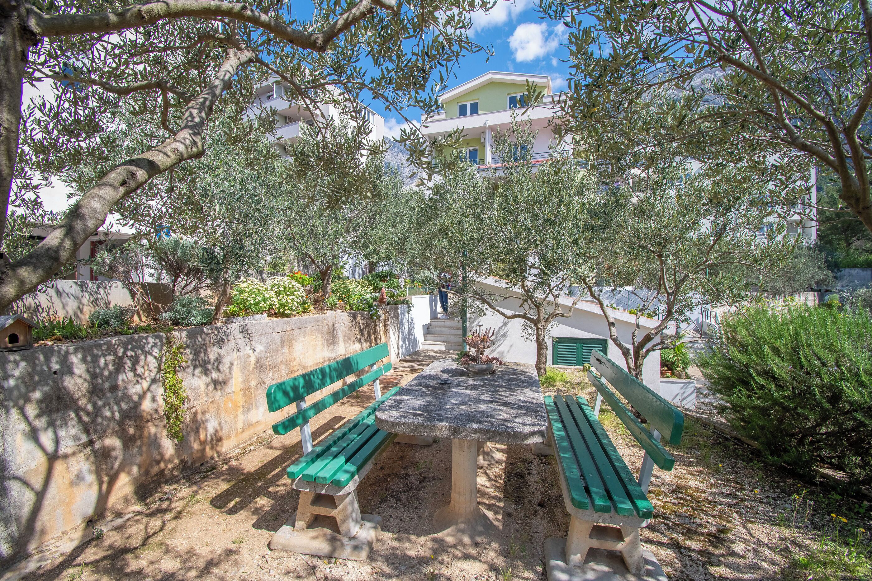 Un área de estar al aire libre con una mesa de piedra y bancos verdes, rodeada de olivos y un edificio al fondo.