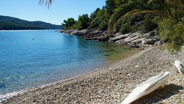 A pebbled beach with a boat and palm trees. - House Senka1 (Vela Luka)