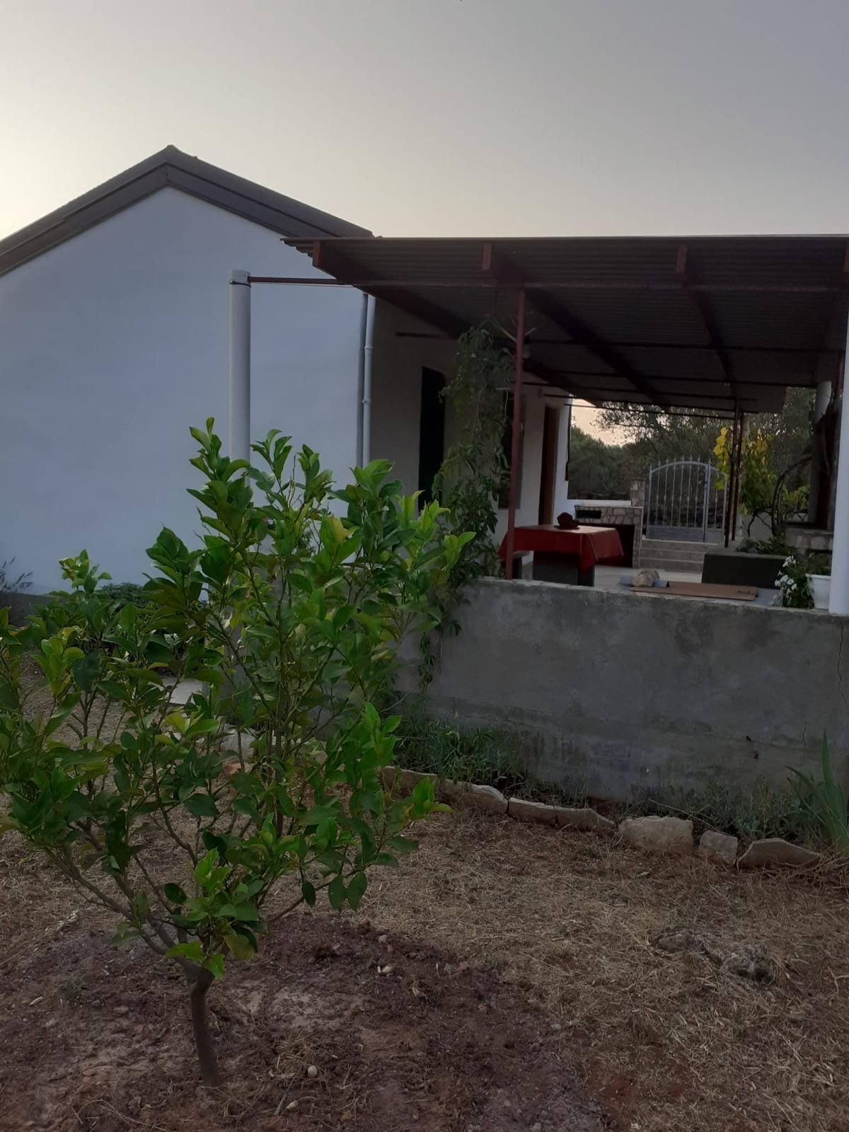 Une maison avec un porche couvert, un petit jardin et un mur en béton.