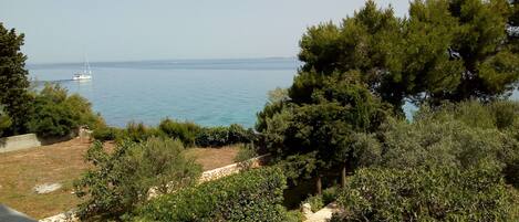 Studio (A1) | Terrain de lâhĂ©bergement