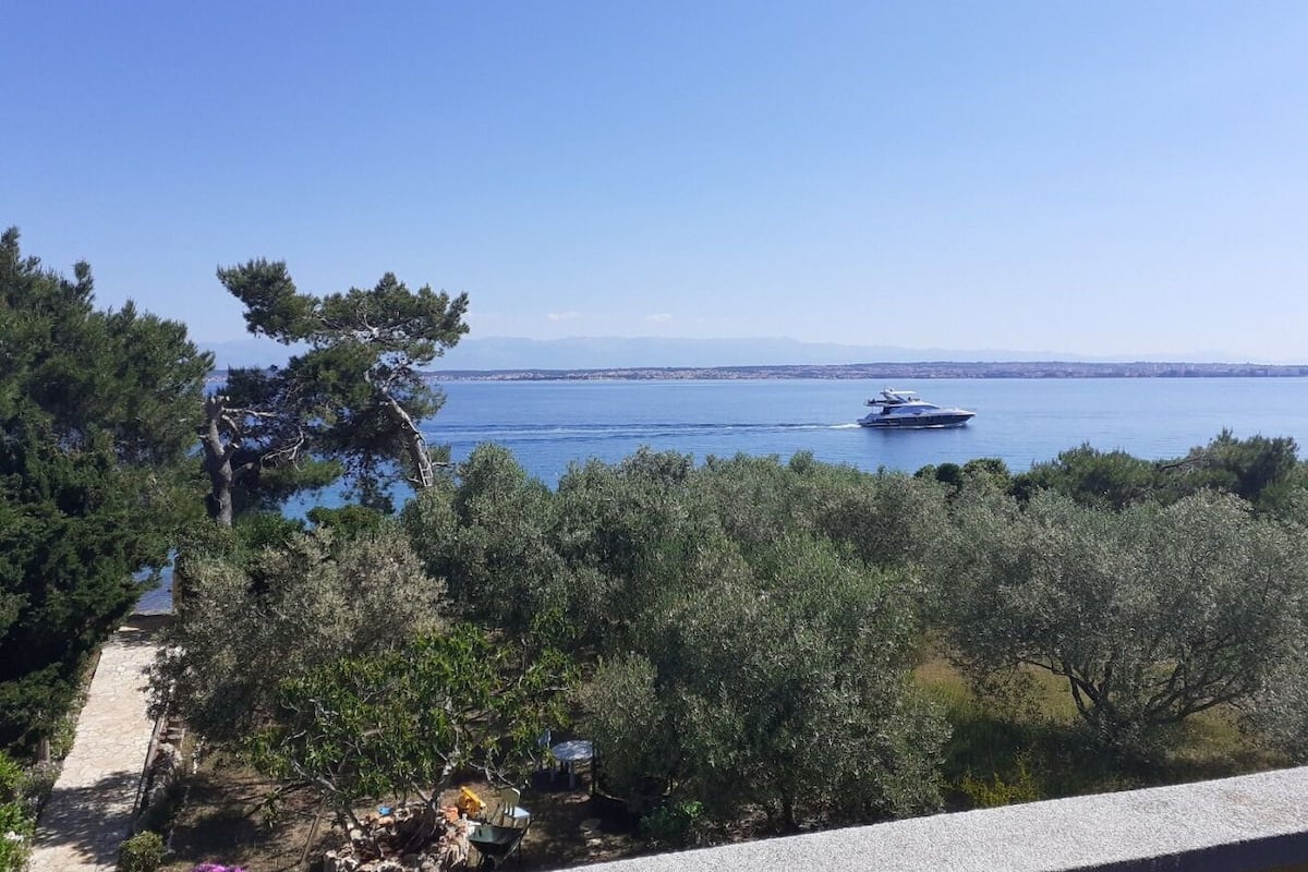 Une vue sur la côte, avec un bateau sur l’eau, des arbres et un ciel dégagé.