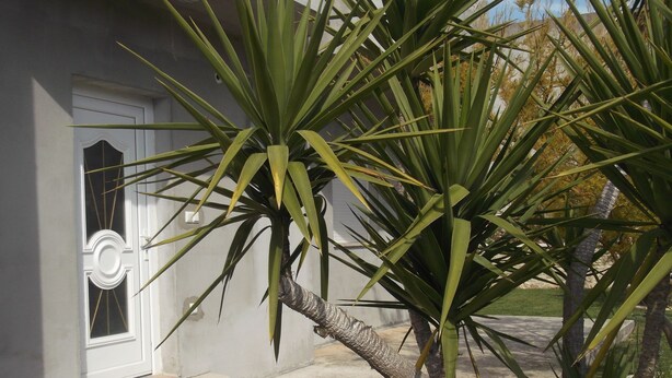 Unclassified image, 1 of 34, button - Apartments Ivica (Kastela)