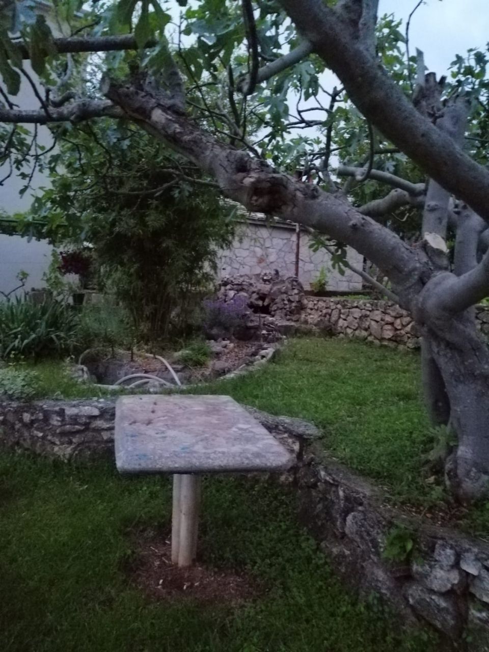 A stone bench in a garden with a tree and a stone wall in the background.