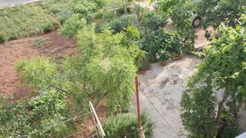 Apartment (A1) | Courtyard